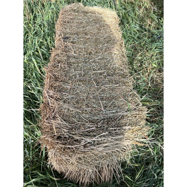 Approx. 150 Square Hay Bales in Barn (3yr old)