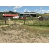 Image 5 : 1/2 Section of Farmland plus Yard Site complete with House & out Buildings.