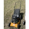 Image 2 : Poulon Pro Lawnmower