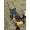 Image 1 : Poulon Pro Lawnmower
