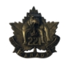 Image 1 : WW1 CEF 221st Battalion (Winnipeg) Cap Badge