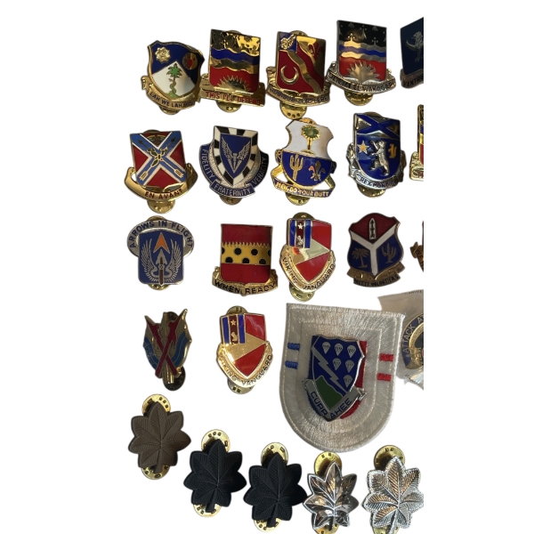 Lot of American Distinctive Unit Insignia (Di Pins) and Collar Rank Insignia