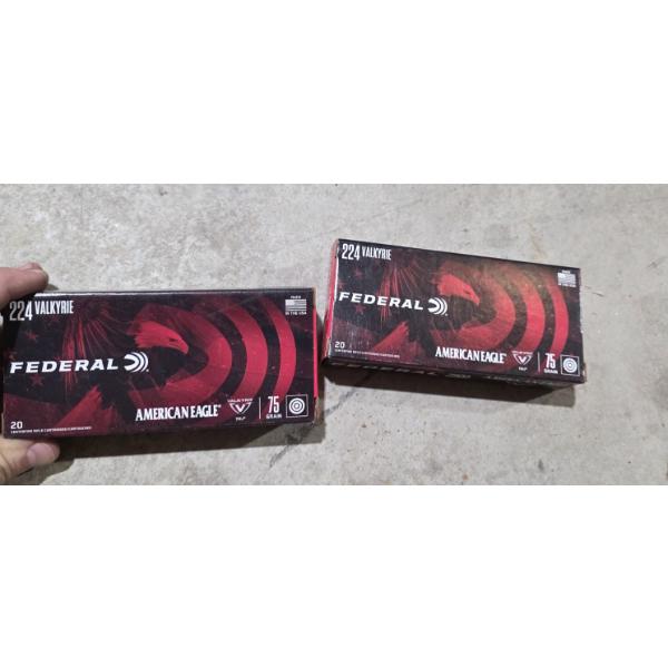 40 Rounds of Federal .224 Valkyrie 