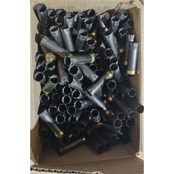 Approx. 125 Once Fired Winchester AA Hulls