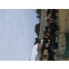Image 15 : Ferme de la Carpe - 14 Femelles 750 lb