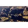 Groupe Tenlo Senc - 29  Mâles castrés 665 lb