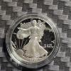 Image 2 : 2002-W American Silver Eagle 