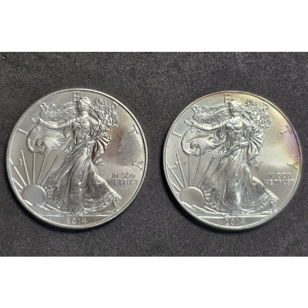 (2) 2014 American Silver Dollars