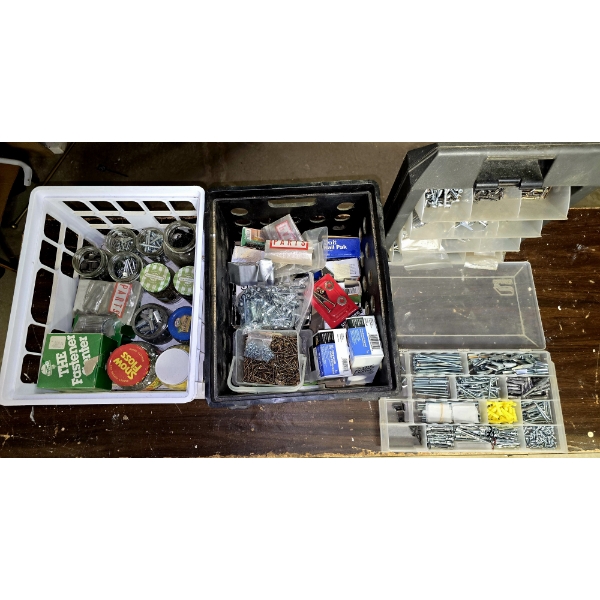 Huge Lot of Various Fasteners incl 2 Organizational Cases