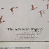 Image 6 : "The American Wigeon" Limited-Edition Vintage Collector's Plate with CoA