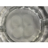 Image 8 : Beautiful Glass Plates & Ashtray - 2 plates - 2 ashtrays - one dish with red rimmed