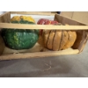 Image 4 : *Pick Up At Mantua Home-No Shipping Available*  Crate of Pumpkins in Several Colors - "R" Pumpkin