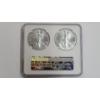 Image 3 : NGC 2021 MS 70 1 Troy Ounce .999 Fine Silver U.S American Eagle 2-Coin Set - Type 1 & Type 2