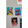 Image 3 : Assorted 1990's Titan Sports "Hulk Hogan" Cards