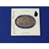 Image 1 : Walt Disney World Mickey Mouse Pressed Souvenir Penny