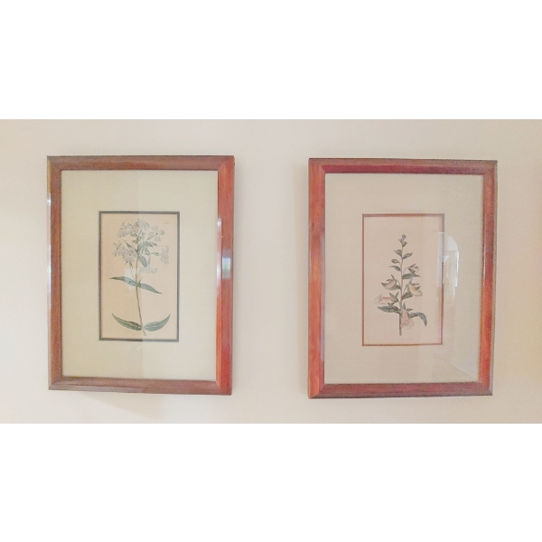 4 Pcs Frame Floral Prints Each 15" x 12" - all In Perfect Condition