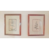 Image 1 : 4 Pcs Frame Floral Prints Each 15" x 12" - all In Perfect Condition