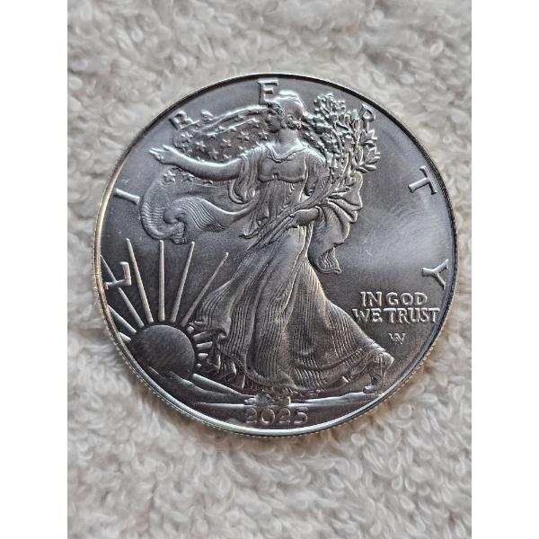 "2025" American 1 Oz Fine Silver Eagle - Type 2 -  Uncirculated 1 Oz Silver Round Fresh From Mint!