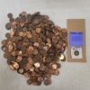 Image 1 : HUGE LOT of Assorted U.S. Pennies, Including COPPER, & (1) 1955-D Wheat - Face Value: ~$9.00