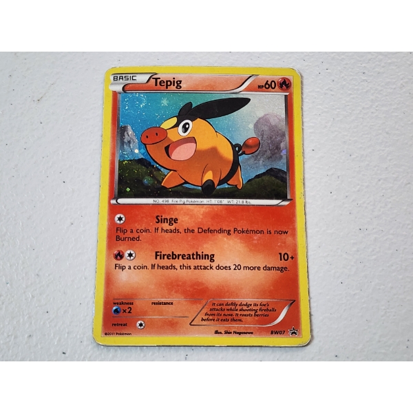 Vintage Tepig Holo Pokemon Trading Card BW07 Promo Card