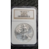Image 1 : 1999 NGC MS 69 Silver Eagle 