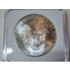 Image 4 : IGS MS70 2002 American Silver Eagle 1 oz .999 Fine Silver 