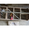 Image 2 : Assorted Fasteners incl Nails, Bolts and More in Vintage Wooden Tool Box