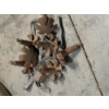 Image 4 : 13 Floating Life Size Plastic Canada Goose Decoys, Weights & Storage Bags 
