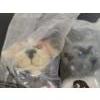 Image 4 : Custom Edge Chomp & T.D. Cleveland Browns Bobbleheads In Sealed Bags