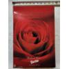 Image 1 : Barbie - Radiant Rose - Limited Edition NIB!!!