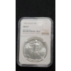 Image 1 : NGC 1992 MS 69 1 Troy Ounce 99.9% Silver American Eagle 