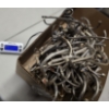 Image 1 : Lot of Sterling Silver Scrap - Total Weight 21lbs 14.1oz (319.1 Troy Ounces)