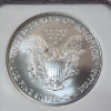 Image 4 : 2006 American Silver Eagle $1 First Strikes - 1 oz .999 Fine Silver - Graded by NGC MS 69