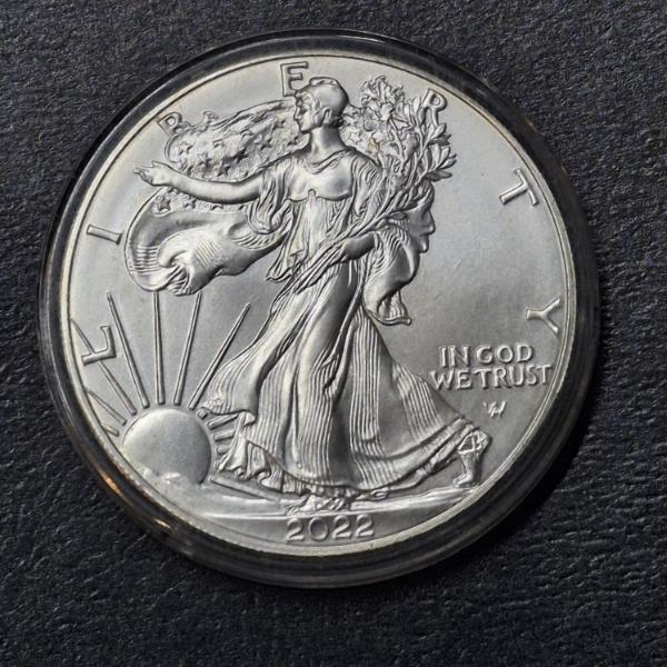 2022 United States Silver Eagle 1 Oz .999 Silver - Uncirculated - See Pics