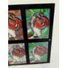 Image 3 : Bo Naylor Guardians Trading Card Photo Frame with 6 Bo Naylor Cards - Frame 8.5x9.5" - 2022