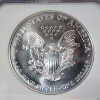 Image 4 : 1995 American Silver Eagle $1 - 1 oz .999 Fine Silver - Graded by NGC MS 69