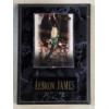 Image 1 : LeBron James Upper Deck St. Vincent Center of Attention Card Mounted on a Plaque