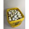 Image 1 : Huge Bucket of Golf Balls - Includes Indians - Top-Flite - Balata LD+10 - Pinnacle - Titleist