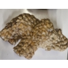Image 5 : Great Condition Beautiful Resin & Ceramic Bird Collection Including Musical Figurine & More! 