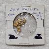 Image 1 : (4) Natural Placer Gold Nuggets - Weighing 2.9g