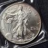 Image 1 : 1996 United States 1 Oz .999 Silver Eagle - See Pics