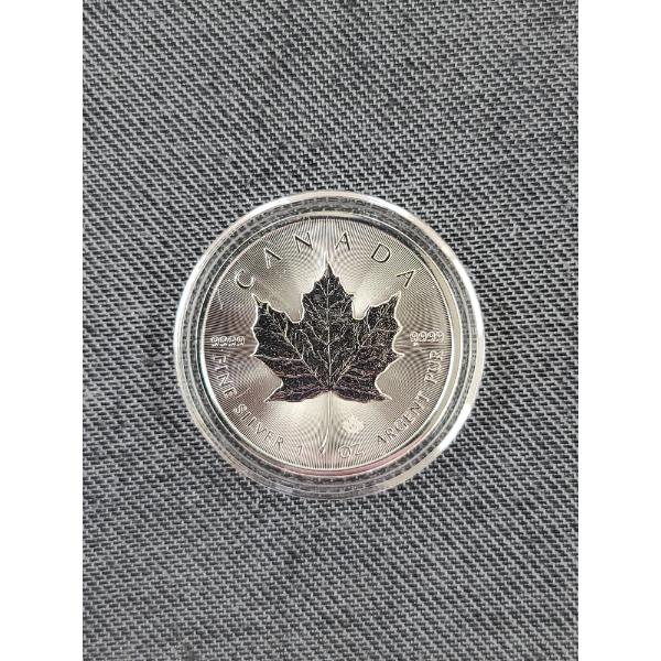 1 Oz 9999 Fine Silver 2025 Maple Leaf in Capsule