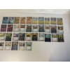Image 1 : Pokémon Trading Cards - Set of 35 Korean Cards - Holo & Non Holo