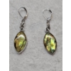 Image 1 : Pair of Abalone Lever-Back Dangle Earrings - Yellow Colored with Stainless Steel Backing