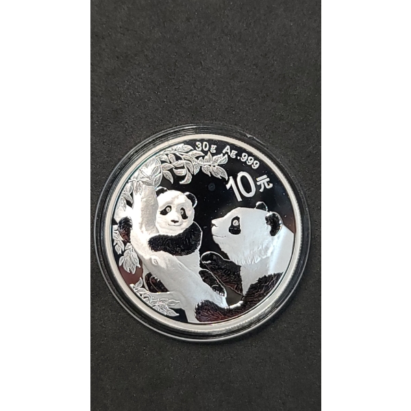 2021 Chinese 10YUAN Panda 30g .999 Fine Silver Coin