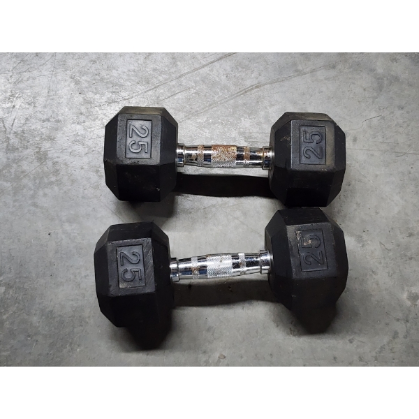 x2 25lb Dumbbells