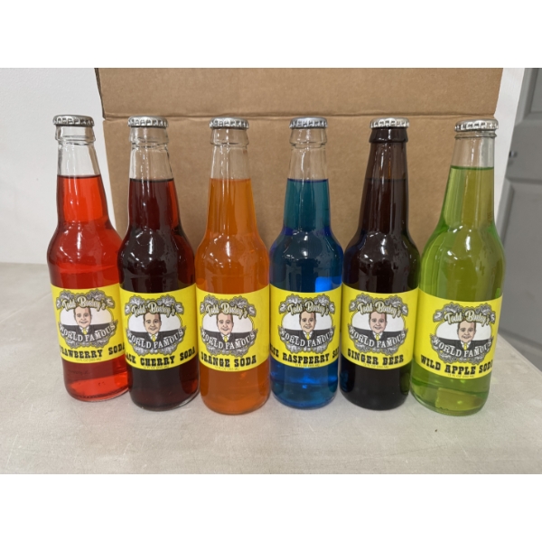 Case of 24 Todd Bosley's World Famous Sodas - Brand New & Delicious - 4 Bottles of Each Flavor
