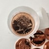 Image 2 : Tube Of (20) 1 ADVP Ounce .999 Fine Copper Rounds With Assorted Motifs