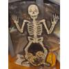 Image 1 : Vintage Holiday Display - Halloween Skeleton - Cardboard