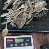 Image 6 : Nice Lot of Assorted Silverplated Silverware Weighing a Total of 5LBS!